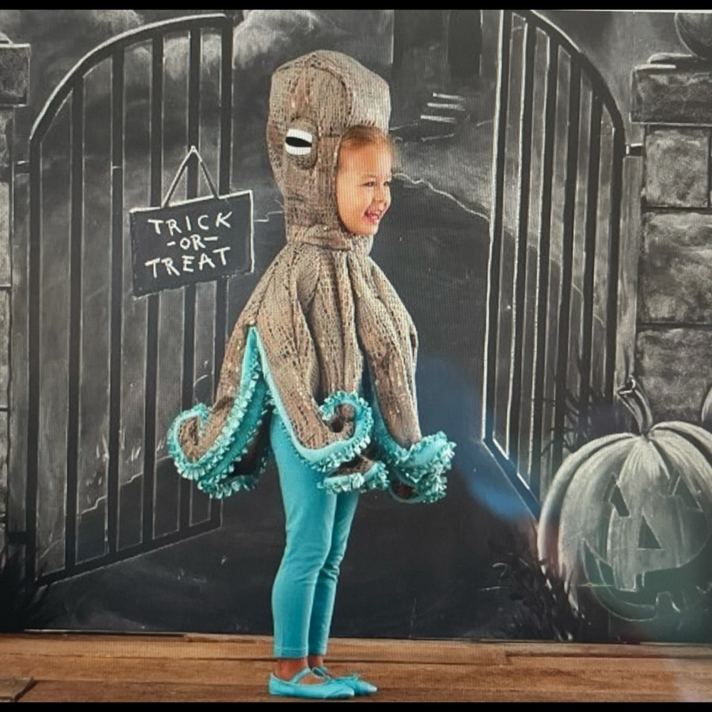 Pottery Barn Kids Octopus Costume 3T